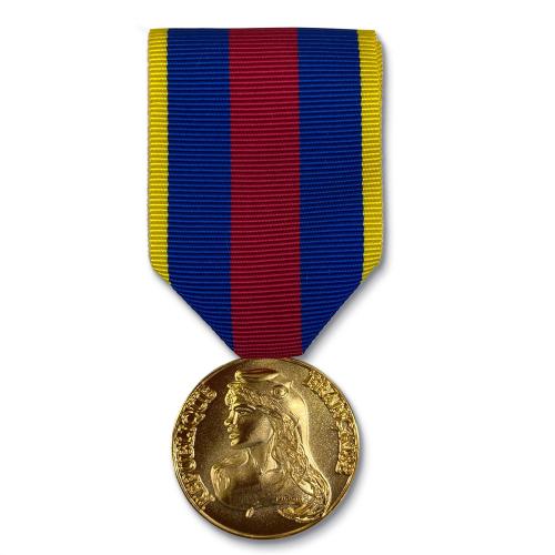 Médaille d'Or des Réservistes Volontaires de la Défense et de la Sécurité Intérieure