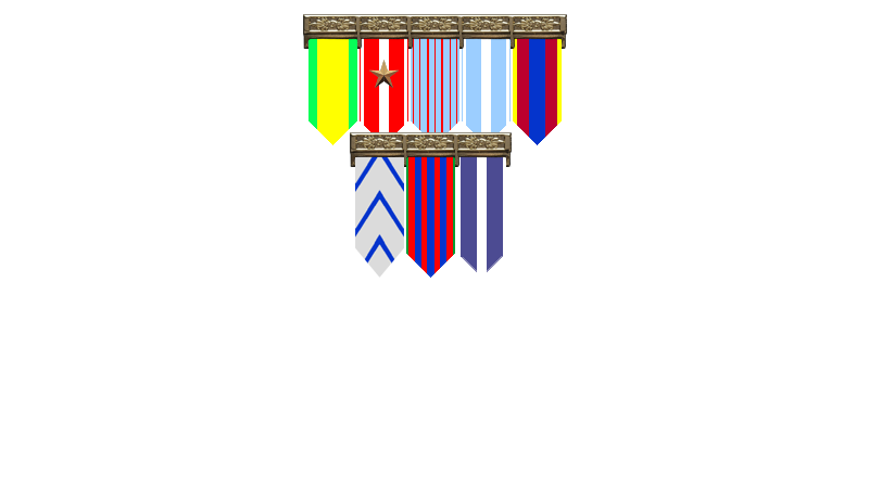 Médaille militaire ou civile : lexique complet • Montage de médailles